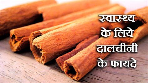 cinnamon in hindi meaning|dalchini nayanthara vich.